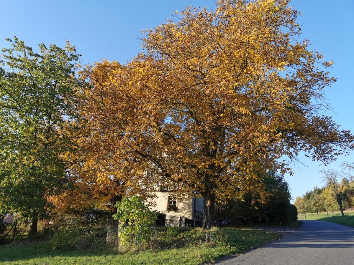Ferienwohnung "Am Saalehaken" Gossitz Bagian luar foto